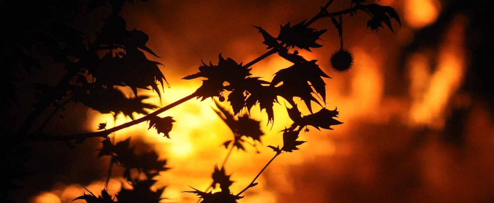 Incêndio, Fogo