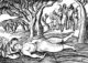LINOGRAVURA MORTE DE CATARINA EUFÉMIA | José Dias Coelho no Museu do Neo-Realismo