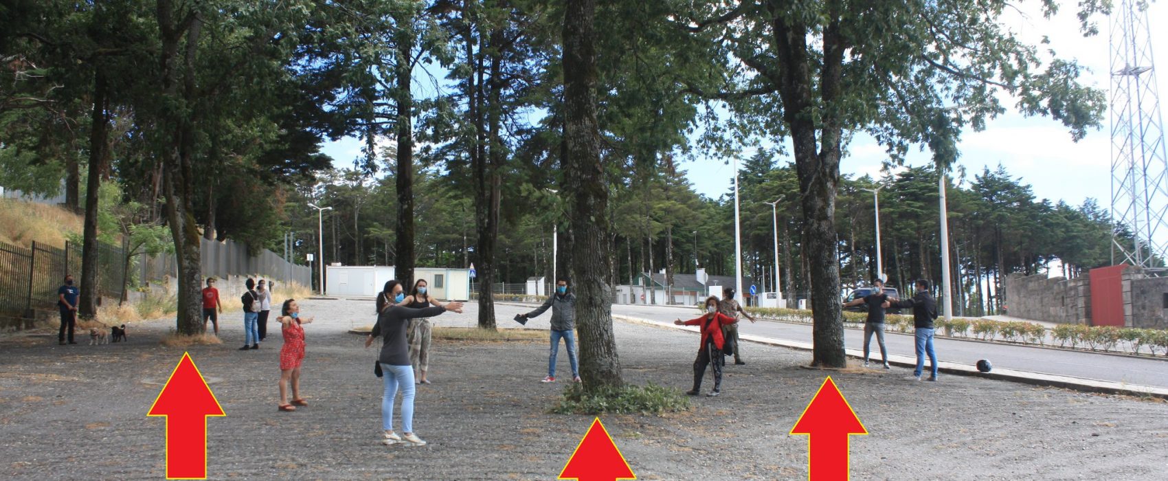 árvores Guarda