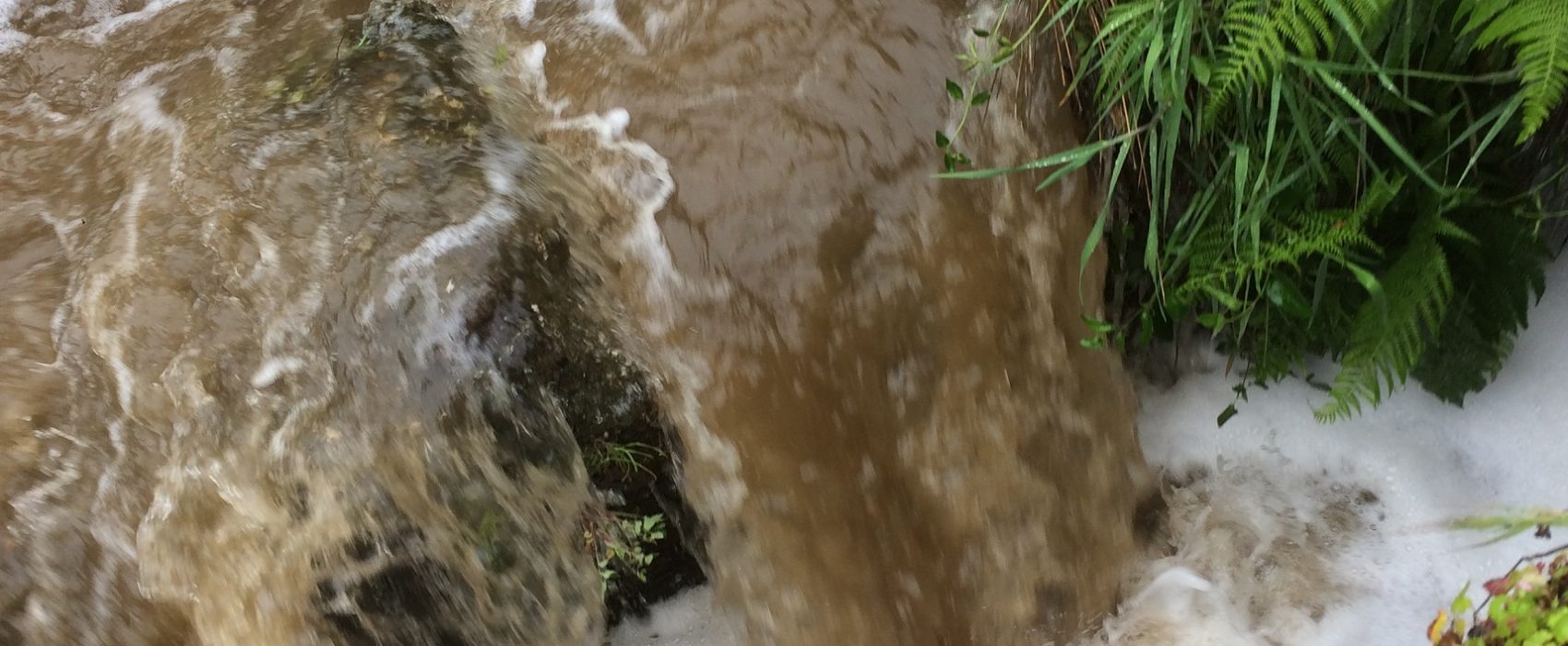 Ribeira de Dardavaz