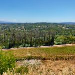 Vinha da Casa de Mouraz