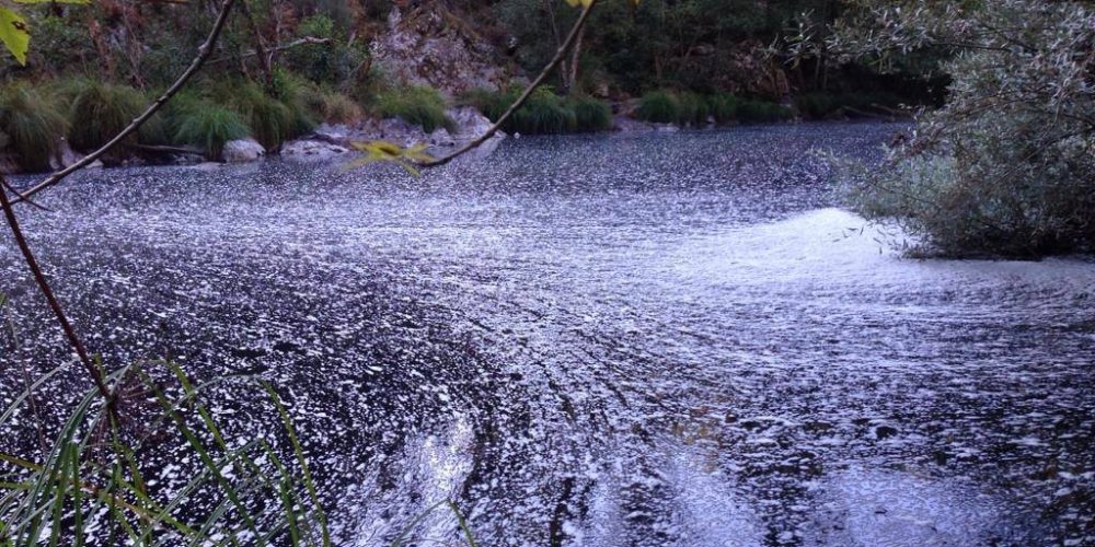Rio Paiva