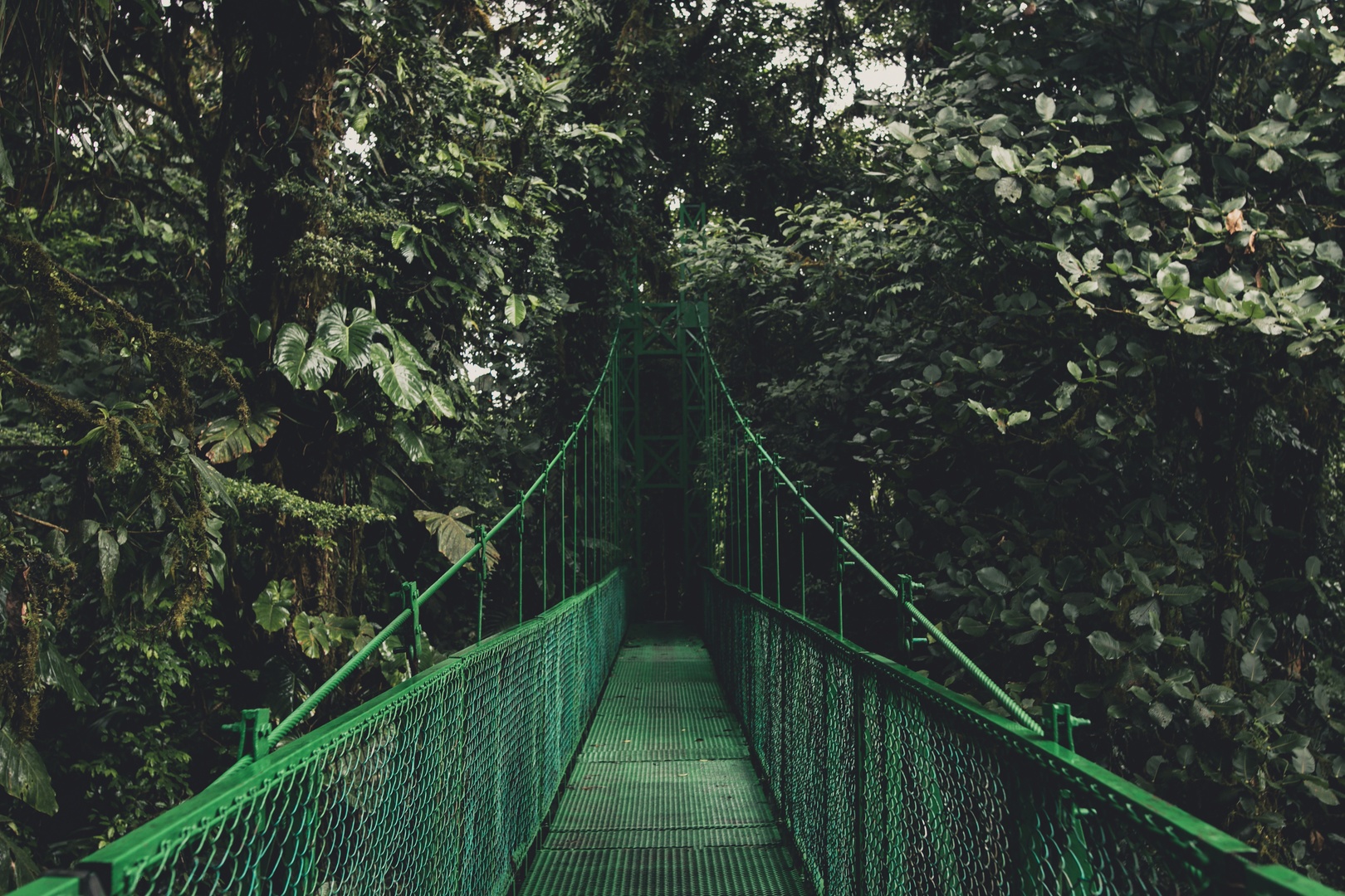 Ponte suspensa