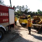 Sapadores Florestais