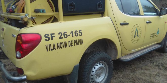 Sapadores Florestais