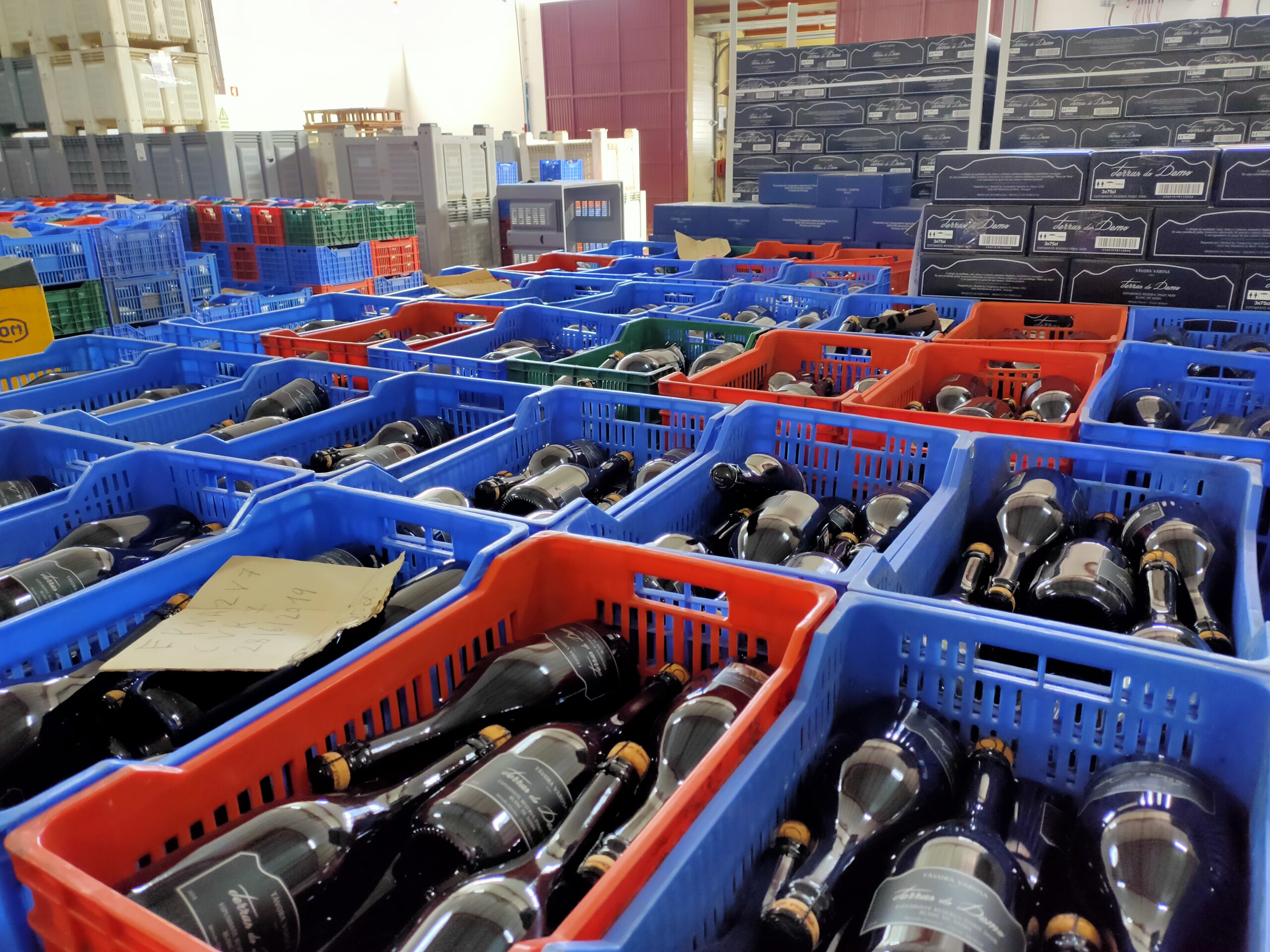 Garrafas Terras do Demo (espumante)