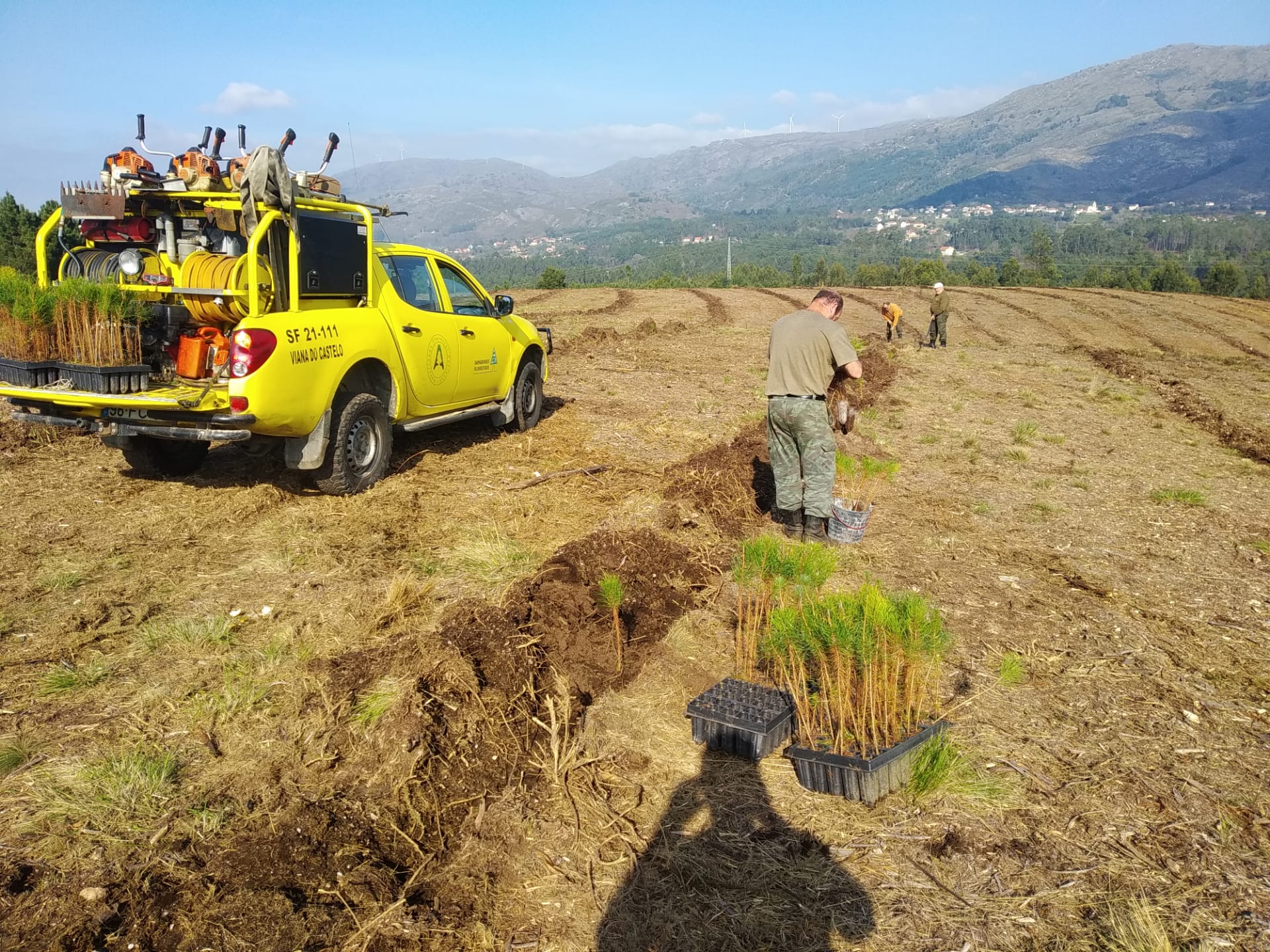 Sapadores Florestais