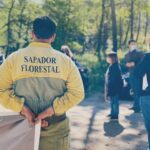 Sapadores Florestais