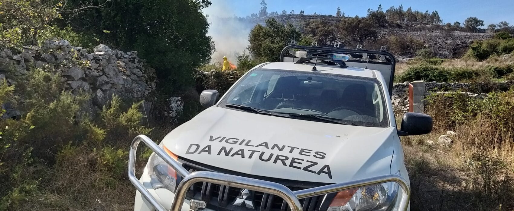 Vigilantes da Natureza