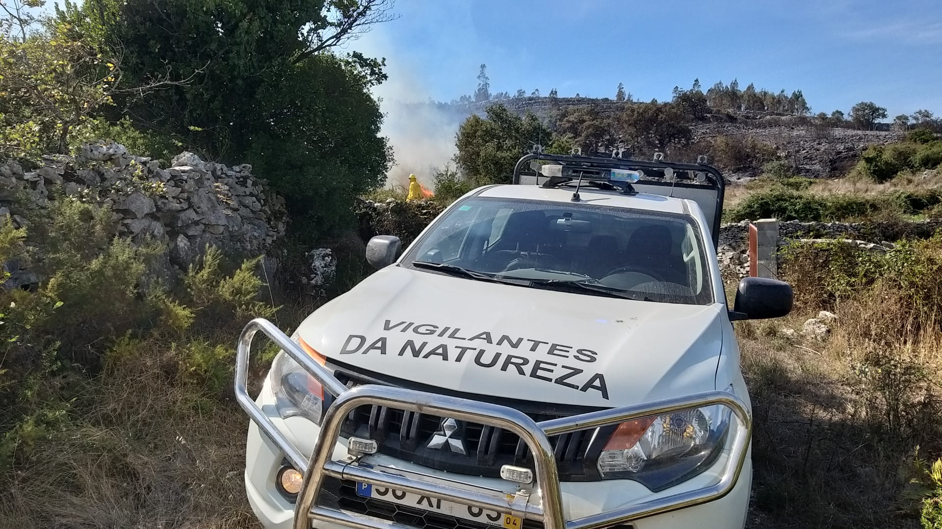 Vigilantes da Natureza