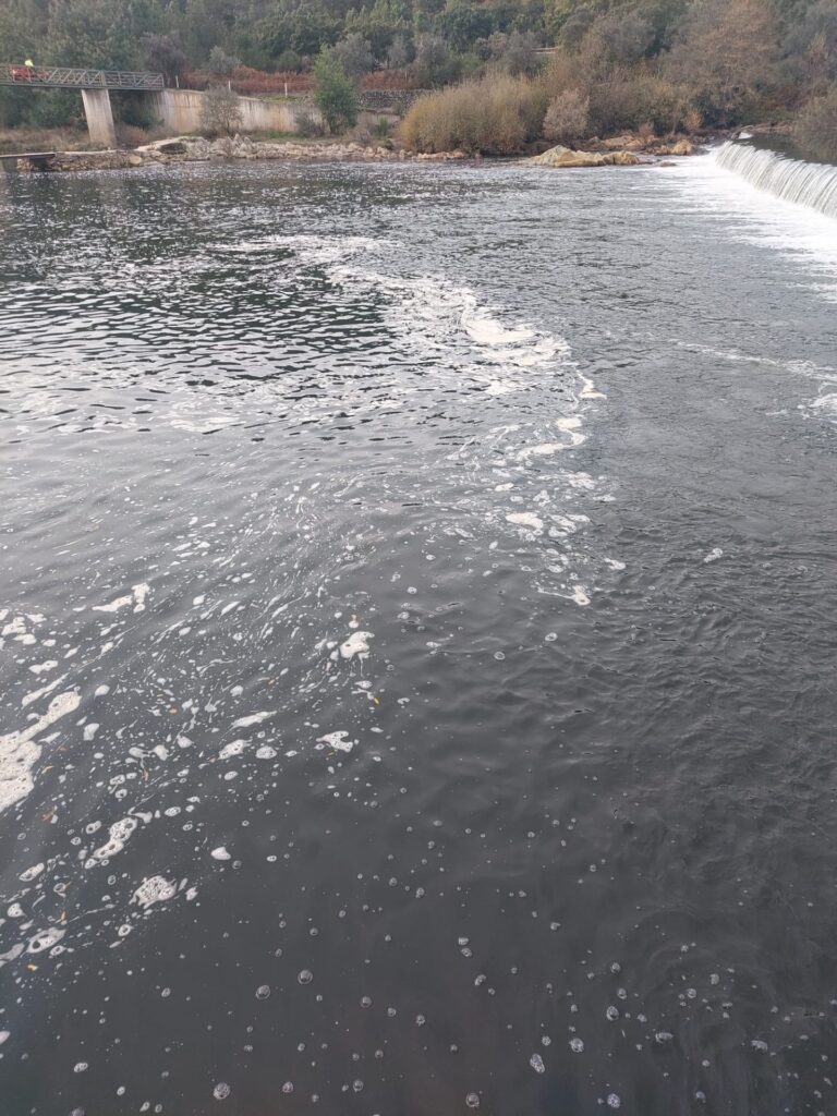Poluição Rio Zêzere, Praia Fluvial Barroca, Fundão