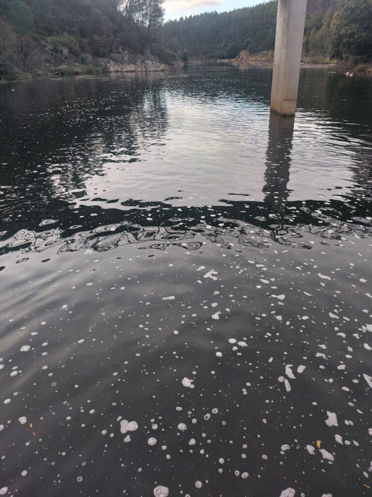 Poluição Rio Zêzere, Praia Fluvial Barroca, Fundão